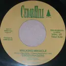 7inch Vinyl Single - Encouragers - Walking Miracle