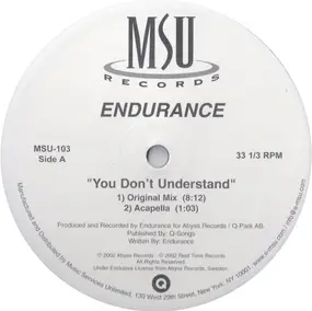 Endurance - You Don't Understand