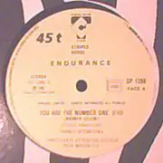 12inch Vinyl Single - Endurance - You Are The Number One