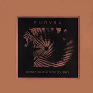 Endvra - Biomechanical Soul Journey