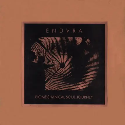 Endvra - Biomechanical Soul Journey