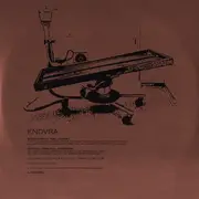 10'' - Endvra - Biomechanical Soul Journey - Numbered, incl. Insert