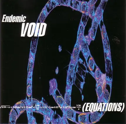 Endemic Void - Equations