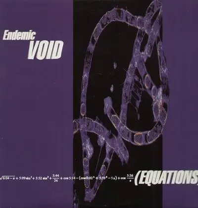 Endemic Void - Equations