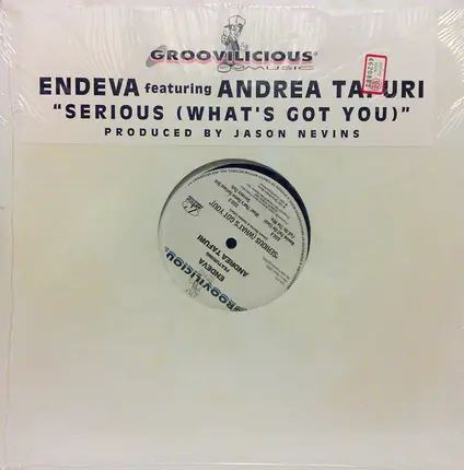 Endeva Featuring Tafuri - Serious (What's Got You)