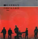 7inch Vinyl Single - Energy Orchard - Belfast
