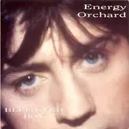 Energy Orchard - Blue Eyed Boy