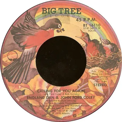 England Dan & John Ford Coley - We'll Never Have To Say Goodbye Again