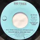 7inch Vinyl Single - England Dan & John Ford Coley - We'll Never Have To Say Goodbye Again
