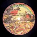 LP - England Dan & John Ford Coley - Nights Are Forever