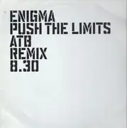 12inch Vinyl Single - Enigma - Push The Limits