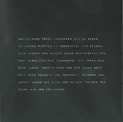 CD - Enjuti - Schönheit durch Zerbrechlichkeit - promo, cardsleeve