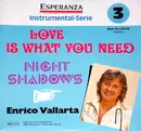 7inch Vinyl Single - Enrico Vallarta - Love Is What You Need