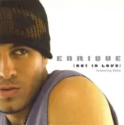 CD Single - Enrique Iglesias Featuring Kelis - Not In Love - Cardboard Sleeve