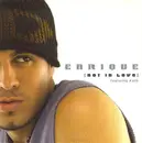 CD Single - Enrique Iglesias Featuring Kelis - Not In Love - Cardboard Sleeve