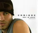 CD Single - Enrique Iglesias Featuring Kelis - Not In Love