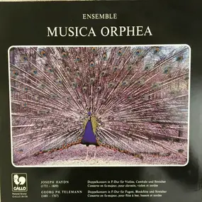 Franz Joseph Haydn - Ensemble Musica Orphea