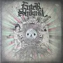 LP-Box - Enter Shikari - Take To The Skies - Dark Blue & Orange  Vinyl 180g, 3rd Repress