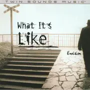 CD Single - Envision - What It's Like
