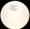 12'' - Environmental Science - Access No Areas / Laughing Shadow