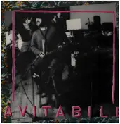 Enzo Avitabile - Avitabile