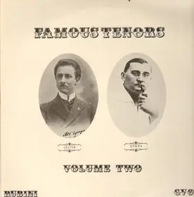 Enzo Leliva / Ignacy Dygas / Carlo Dani / a.o. - Famous Tenors - Volume Two