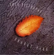 CD - Enzo Pietropaoli - Orange Park - Still Sealed