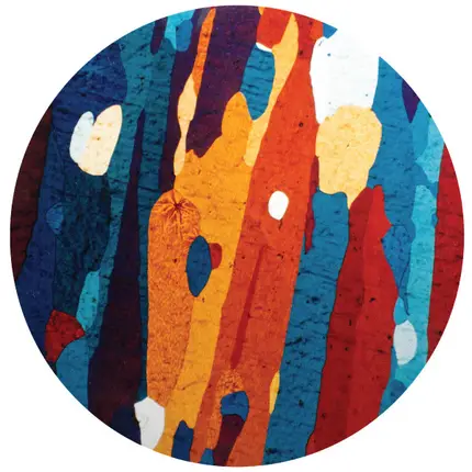 Esa Williams - Gwalaka Fortune EP