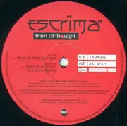 12inch Vinyl Single - Escrima - Train Of Thought