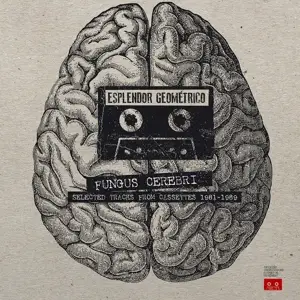 Esplendor Geométrico - Fungus Cerebri