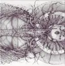 CD - Essenz - Mundus Numen - CD Sleeve in cardboard box