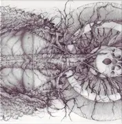 CD - Essenz - Mundus Numen - CD Sleeve in cardboard box