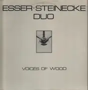LP - Esser Steinecke Duo - Voices Of Wood - rare folk flamenco