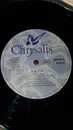 12inch Vinyl Single - Esta - Homeland