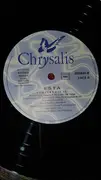 12inch Vinyl Single - Esta - Homeland