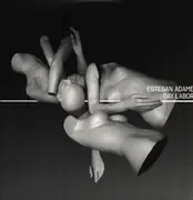 Double LP - Esteban Adame - Day Labor