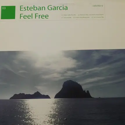 Esteban Garcia - Feel Free