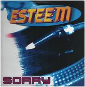 12inch Vinyl Single - Esteem - Sorry