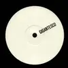 12inch Vinyl Single - Esther Duijn / Ayarcana - GEGEN001 / Allegory - Sample