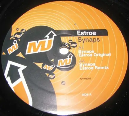 Estroe vs. Sect - Synaps