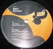 12inch Vinyl Single - Estroe vs. Sect - Synaps