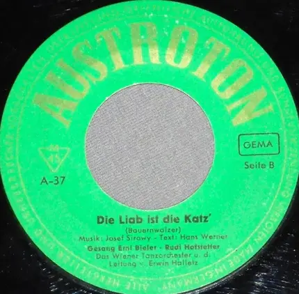 Erni Bieler , Rudi Hofstetter & Wiener Tanzorchester - Ich Möcht' Gern Dein Herz Klopfen Hör'n