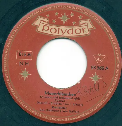 Erni Bieler - Mauerblümchen