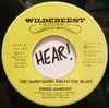 7inch Vinyl Single - Ernie Hawkins - The Harrisburg Radiation Blues
