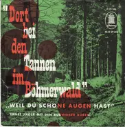 Ernst Jäger mit den Budweiser Buben - Dort Bei Den Tannen Im Böhmerwald / Weil Du Schöne Augen Hast