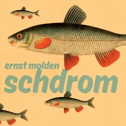 ernst molden - Schdrom