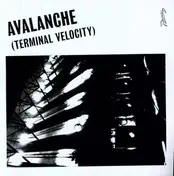 erol alkan - AVALANCHE