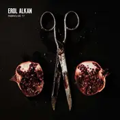 erol alkan - Fabric Live 77