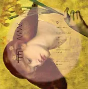 Erosion Flow - Ep