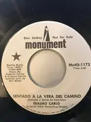 Erasmo Carlos - Sentado A La Vera Del Camino